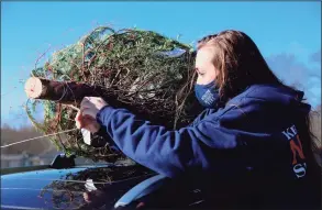  ?? Jarret Liotta / For Hearst Connecticu­t Media ?? Gillian Riordan of Darien helps get a tree on a car.