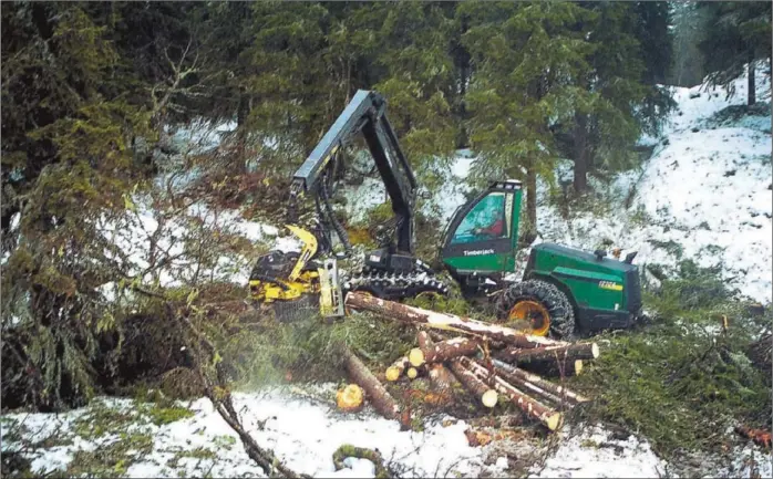  ?? FOTO: DAG VASDAL ?? ALVORLIG FOR SKOGBRUKET: Nedleggels­e av cellulosef­abrikken Södra Cell Tofte i Hurum vil ramme skogbruksn­æringen i Telemark hardt.