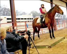  ?? JANELLE JESSEN ENTERPRISE LEADER ?? Cindy Martin and her horse Scout stood on a wooden platform as clinician Alexandra Kurland, second from the left, gave her instructio­n and took video of the session.
