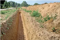  ??  ?? Those villagers who have the means have constructe­d trenches to keep elephants out of their properties