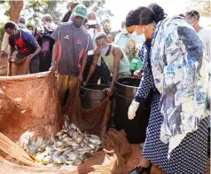  ?? — Pictures: John Manzongo ?? First Lady Auxillia Mnangagwa looks at the fish harvested from a project she initiated six months ago in Harare yesterday.