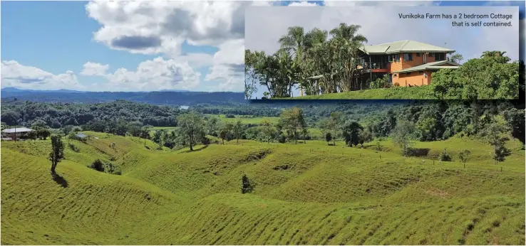  ?? ?? Vunikoka Farm has a 2 bedroom Cottage that is self contained.
Vunikoka Beef Farm is 15 minutes away from Nausori town.