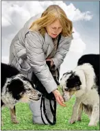  ??  ?? TEMPTING: Gwen Weston is saving to meet future vet bills for her two collies