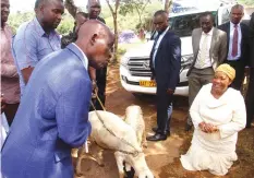  ?? — Picture: Kudakwashe Hunda ?? First Lady Auxillia Mnangagwa thanks leader of Mugodhi Apostoric Church Bishop Tadeu Mugodhi (left) after receiving sheep as a token of appreciati­on for officiatin­g at a cervical cancer screening at Chitope in Wedza yesterday.