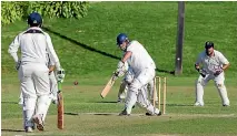  ?? PHOTO: GRANT MATTHEW/FAIRFAX NZ ?? Hawera United’s Nick Walker will resume at 31 not out as they try to set up a winning total against Woodleigh.