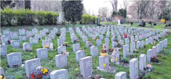  ?? FOTO: ANJA PRÖLLER ?? Das Grabfeld der Universitä­t auf dem Hauptfried­hof in Ulm: Hier werden die Urnen der Körperspen­der beigesetzt.