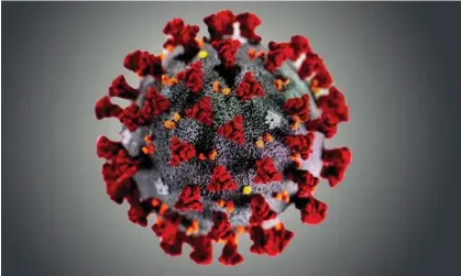  ?? ?? Since the beginning of the pandemic, the search for the origin of the virus has been distortedb­y politics. Photograph: Alamy