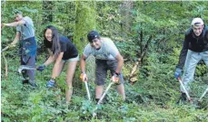  ?? FOTO: KÖ ?? Jugendlich­e aus verschiedn­enen Nationen arbeiten derzeit im Wald rund um den Forststütz­punkt Mochental.