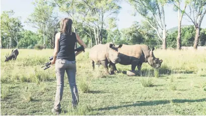 ?? Picture: Amanda Watson ?? ON GUARD. A private rhino owner watches over her animals in North West in 2015.