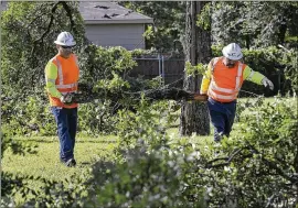  ?? RALPH BARRERA / AMERICAN-STATESMAN 2016 ?? Texas Department of Transporta­tion workers remove tree limbs from the TxDOT office on FM 96 east of Austin after an overnight storm in April 2016 downed trees and cause widespread power outages.