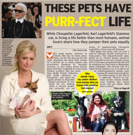  ??  ?? ( Above) Karl Lagerfeld’s cherished Siamese cat Choupette lives better than most humans; ( right) Tinkerbell, a pampered chihuahua owned by Paris Hilton ( Right) Nikki Kapoor loves her pets like her children