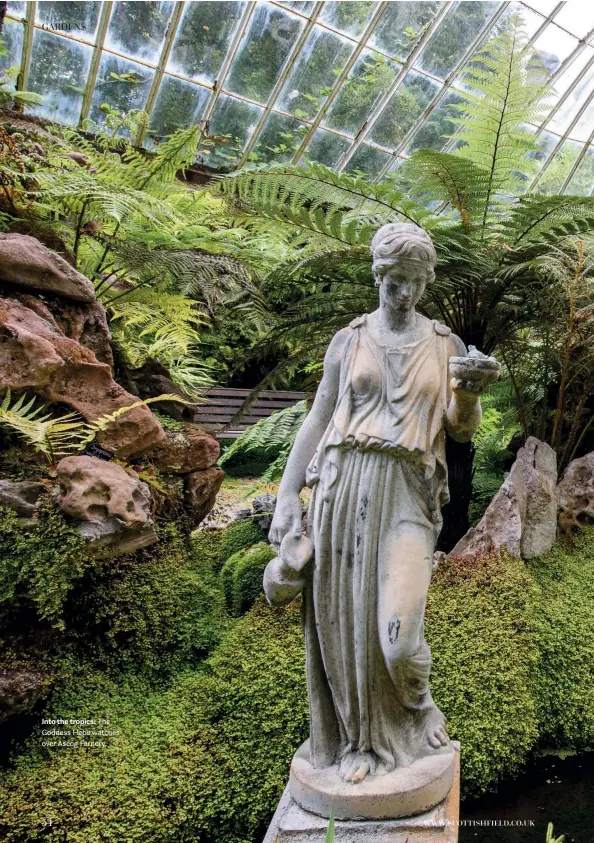  ??  ?? Into the tropics: The Goddess Hebe watches over Ascog Fernery.