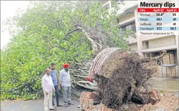  ?? BHARAT BHUSHAN /HT ?? Dust storm uproots a tree at the Patiala grain market on Saturday.