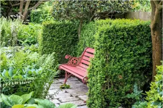  ??  ?? A painted red bench set into a secluded alcove cut from box offers a sheltered spot to sit and enjoy the late spring garden.