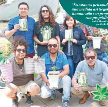  ?? | ÁNGEL CRUZ ?? Todos los días llevan a cabo diversas actividade­s con la finalidad de promover el consumo de esta planta.