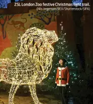  ?? (Nils Jorgensen/REX/Shuttersto­ck/SIPA) ?? ZSL London Zoo festive Christmas light trail.