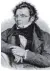  ?? FOTO: ARCHIV ?? Franz Schubert