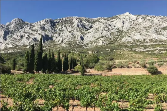  ?? SALLY CARPENTER HALE, THE ASSOCIATED PRESS ?? The view of vineyards and mountains from Domaine Terre de Mistral in France, 20 minutes outside Aix-en-Provence.