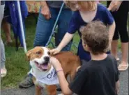  ?? MARIAN DENNIS — DIGITAL FIRST MEDIA ?? Pets took over Pottstown during the annual Pet Fair.