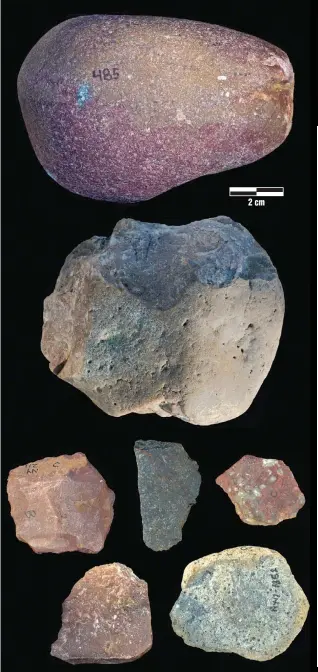  ?? ?? Examples are shown of an Oldowan percussive tool (from top) found in 2016, an Oldowan core found in 2017, and Oldowan flakes found in 2016 and 2017. (AP/Homa Peninsula Paleoanthr­opology Project)