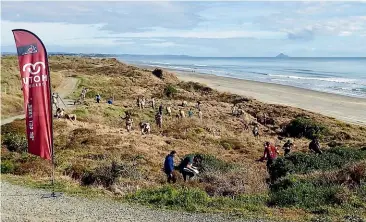  ?? MOTU TRAILS CHARITABLE TRUST ?? Volunteers plant native bushes and flaxes.