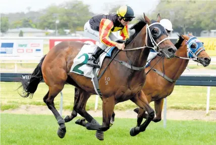  ?? Picture / Race Images ?? Ringo contests the $50,000 Manawatu ITM Anzac 1550m at Awapuni today.