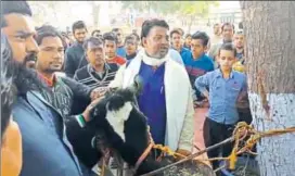  ?? HT PHOTO ?? BSP corporator Abdul Gaffar (left) hands over his cow to the police in Meerut, UP, on Tuesday.