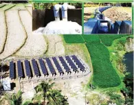  ??  ?? BOOSTING RICE FARMERS’ PRODUCTIVI­TY – This is the
solarpower­ed irrigation system (SPIS) in Brgy. Panlaganga­n, Sibalom, Antique which targets to increase farmers’ average yield from 3.7 metric tons to 4.5 metric tons per hectare. This SPIS has a total service area of 30 hectares rainfed rice land, with 100 solar panels that can generate up to 27 kilowatts electricit­y, enough to irrigate two to three hectares of rice areas daily.