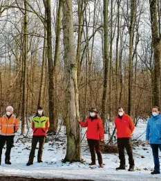  ?? Foto: Winfried Rein ?? Naturschut­zreferent Siegfried Geißler umarmt einen Baum – es ändert nichts am Ein‰ schlag im Englischen Garten.