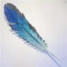  ??  ?? Blue Parrot Feather, by Neil Dawson