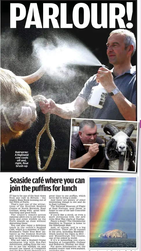  ??  ?? Hairspray: A Highland cow cools
off and, right, final brush-up
Somewhere under the rainbow: Bass Rock