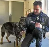  ??  ?? In der Jugendstra­fanstalt Arnstadt trainiert ein Hundeführe­r mit seiner Schäferhün­din das Aufspüren von Drogen. Archiv-Foto: Martin Schutt, dpa