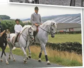  ??  ?? Top: a pair of superstars – Milton with Tina Turner, who sang at one of the showjumper’s many retirement ceremonies. Centre: “He was destined for great things,” recalls Steve Hadley, who rode Milton as a six-year-old. Left: “I used to race the kids on their ponies down the field” – John remembers Milton’s star quality at home as well as in the ring