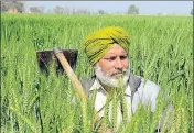  ?? HT PHOTO ?? Farmers are given this subsidy to maintain crop quality during the rabi and kharif seasons every year.