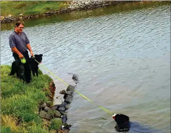  ??  ?? Fergal Cunningham from Kielfuff enjoying an evening by the canal near Blennervil­le on last Thursday with his dogs Dillon and Bowie who was having a swim. Photo Moss Joe Browne.