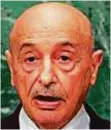  ??  ?? Aguila Saleh