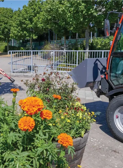  ?? Bild: MARCUS ÅLSNÄS ?? plantering­ar så gott det går i värmen.