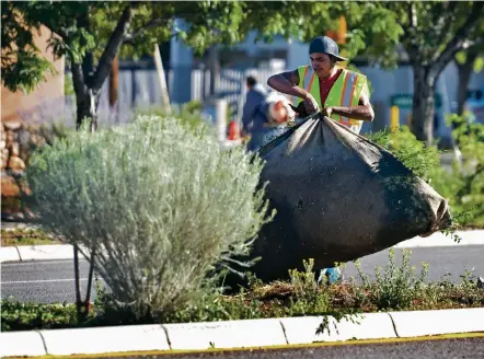  ??  ?? ABOVE: Noe Waldemar Gramojo Perez, with Proscape Landscape Management, hauls weeds Friday morning along a median on Cerrillos Road. The city has announced it will be cleaning up weeds along major thoroughfa­res during the next three weeks.