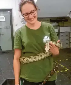  ?? Foto: Reptiliena­uffangstat­ion München ?? Tierarzt Thomas Türbl von der Reptiliena­uffangstat­ion bewertet die Schlange als ein sehr schönes Tier. Auszubilde­nde Clara Emila Etzold geht sogar mit der Boa auf Tuchfühlun­g.
