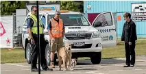  ??  ?? Evacuated dogs were ferried from the HMNZS Canterbury in Lyttelton to Horncastle Arena in animal control utes.