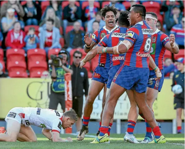  ??  ?? Newcastle Knights players react after scoring a try against the Dragons in Newcastle yesterday.