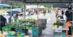  ?? Photo / David Haxton ?? Waikanae Community Market.