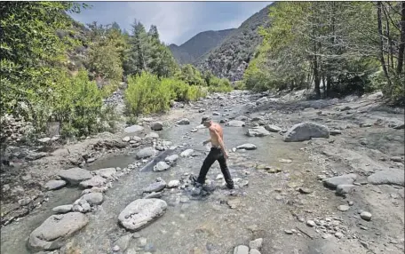  ?? Allen J. Schaben Los Angeles Times ?? A GOLD MINER in the East Fork of the San Gabriel River, where a new Forest Service plan would crack down on unauthoriz­ed mining.