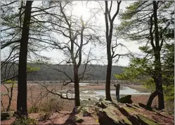  ?? PETER HUOPPI/ THE DAY ?? Mitch Heffernan of Lyme takes in the view of Selden Creek from the overlook at the end of the White Trail in the Nature Conservanc­y´s Selden Creek Preserve Sunday.