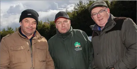  ??  ?? ABOVE: Judges Noel Shanahan, Dan Donnelly and Michael Shanahan.RIGHT: Paul Doran at the ploughing championsh­ips.