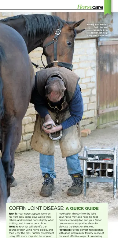  ??  ?? Having your horse’s feet checked regularly by a farrier can help keep him balanced