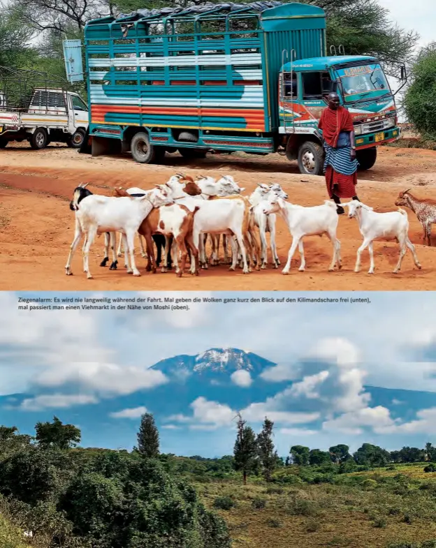  ??  ?? Ziegenalar­m: Es wird nie langweilig während der Fahrt. Mal geben die Wolken ganz kurz den Blick auf den Kilimandsc­haro frei (unten), mal passiert man einen Viehmarkt in der Nähe von Moshi (oben).