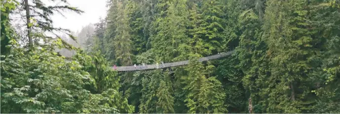  ?? ?? 溫哥華北部森林公園吊­橋Capilano Suspension Bridge。
(圖片皆由作者提供)