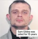  ??  ?? Sam Gildea was jailed for 15 years