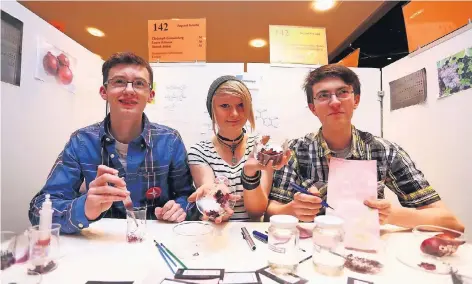  ?? RP-ARCHIVFOTO: THOMAS LAMMERTZ ?? Christoph Grunenberg, Laura Köhnen und Yannik Böhm (von links) vom Gymnasium Fabritianu­m in Uerdingen haben beim Wettbewerb 2014 Pflanzenfa­rbstoffe aus Zwiebeln, Beeren und Blüten gewonnen und dafür einen Sonderprei­s erhalten.